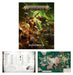 Collectible Miniature Games Games Workshop - Warhammer Age of Sigmar - Introductory Set - 80-15 - Cardboard Memories Inc.