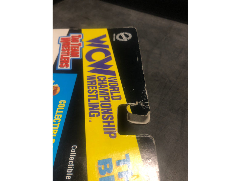 Action Figures and Toys Figures Inc. - Vtg WCW OSFTM - Exclusive-Tag Team - Blue Bloods - Regal and Eaton - Cardboard Memories Inc.