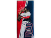 Action Figures and Toys BDA Sports - Vladimir Guerrero Jr. - Victory Vlad - Bobblehead Figure - Cardboard Memories Inc.