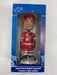 Action Figures and Toys Bobble Dobbles - 2001 - Detroit Redwings - Steve Yzerman Hand Painted Bobble Head - Cardboard Memories Inc.