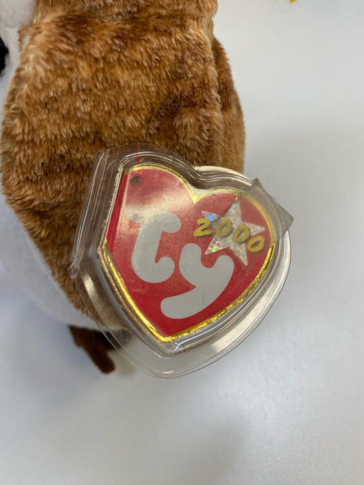 Plush TY Beanie Baby - Wisest the Owl - Class of 2000 - Cardboard Memories Inc.