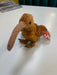 Plush TY Beanie Baby - Beak the Kiwi - Cardboard Memories Inc.