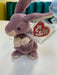 Plush TY Beanie Babies - Springy the Bunny - Cardboard Memories Inc.