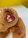 Plush TY Beanie Buddy - Woody the Bear - Cardboard Memories Inc.