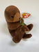 Plush TY Beanie Baby - Seaweed the Otter - Cardboard Memories Inc.