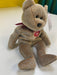 Plush TY Beanie Baby - 1999 Signature Bear - Cardboard Memories Inc.