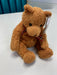 Plush TY Beanie Baby - Woody the Bear - Cardboard Memories Inc.