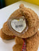 Plush TY Beanie Buddy - Woody the Bear - Cardboard Memories Inc.