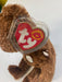 Plush TY Beanie Baby - Champion the FIFA Bear - Argentina - Cardboard Memories Inc.