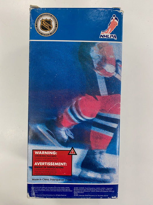 Action Figures and Toys Bobble Dobbles - 2001 - Detroit Redwings - Steve Yzerman Hand Painted Bobble Head - Cardboard Memories Inc.