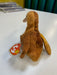 Plush TY Beanie Baby - Beak the Kiwi - Cardboard Memories Inc.