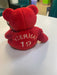 Plush Salvino's Bammers - 1999 - Detroit Red Wings - Red Teddy Bear - Steve Yzerman - Cardboard Memories Inc.