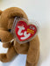 Plush TY Beanie Babies - Sherwood the Bear - Cardboard Memories Inc.