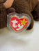 Plush TY Beanie Baby - Roam the Buffalo - Cardboard Memories Inc.