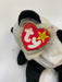 Plush TY Beanie Baby - Fortune the Panda - Cardboard Memories Inc.