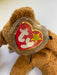 Plush TY Beanie Baby - Fuzz the Bear - Cardboard Memories Inc.