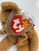 Plush TY Beanie Baby - Curly the Brown Bear - Cardboard Memories Inc.