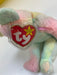 Plush TY Beanie Baby - Groovy the Ty-Dyed Bear - Cardboard Memories Inc.