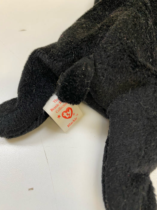 Plush TY Beanie Baby - Blackie the Black Bear - Cardboard Memories Inc.