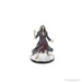 Role Playing Games Wizards of the Coast - Dungeons and Dragons - Icons of the Realms - Adventures from Baldur's Gate - Booster Brick - Pre-Order February 15th 2025 - Cardboard Memories Inc.