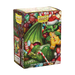 Supplies Arcane Tinmen - Dragon Shield Sleeves - Brushed Art Christmas 2024 - Available November 8th 2024 - Cardboard Memories Inc.