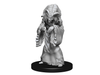 Role Playing Games Wizkids - Dungeons and Dragons - Unpainted Miniature - Nolzurs Marvellous Miniatures - Night Hag and Dusk Hag - 90239 - Cardboard Memories Inc.