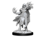 Role Playing Games Wizkids - Dungeons and Dragons - Unpainted Miniature - Nolzurs Marvellous Miniatures - Hobogoblin Male and Female - 90310 - Cardboard Memories Inc.