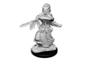 Role Playing Games Wizkids - Dungeons and Dragons - Unpainted Miniature - Nolzurs Marvellous Miniatures - Night Hag and Dusk Hag - 90239 - Cardboard Memories Inc.