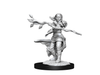 Role Playing Games Wizkids - Dungeons and Dragons - Unpainted Miniature - Nolzurs Marvellous Miniatures - Human Druid Female - 90223 - Cardboard Memories Inc.