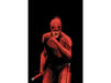 Comic Books Marvel Comics - Daredevil 612 - 4409 - Cardboard Memories Inc.