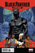 Comic Books Marvel Comics - Black Panther (2016 5th Series) 013 - The Story Thus Far Variant Edition (Cond. FN) - 1478 - Cardboard Memories Inc.