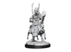 Role Playing Games Wizkids - Starfinder - Unpainted Miniature - Deep Cuts - Shirren Technomancer - 90335 - Cardboard Memories Inc.