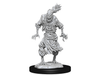 Role Playing Games Wizkids - Dungeons and Dragons - Unpainted Miniature - Nolzurs Marvellous Miniatures - Scarecrow and Stone Cursed - 90241 - Cardboard Memories Inc.