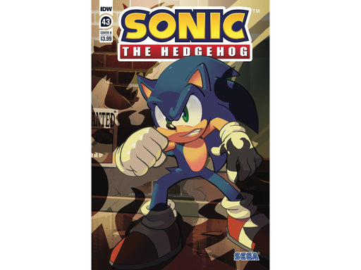 Comic Books IDW Comics - Sonic the Hedgehog 043 - Herms Variant Edition - Cardboard Memories Inc.