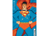 Comic Books DC Comics - Action Comics 1042 (Cond. VF-) - Tedesco Card Stock Variant Edition - Cardboard Memories Inc.