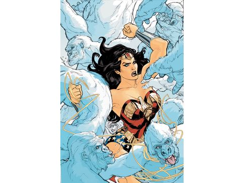 Comic Books DC Comics - Wonder Woman (2007) 014 (Cond. FN+) - 8988 - Cardboard Memories Inc.