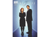 Comic Books IDW - X-Files Season 10 (2015) 025 - Subscription Variant Edition (Cond. VF-) - 9053 - Cardboard Memories Inc.