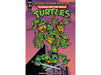 Comic Books IDW - TMNT Saturday Morning Adventures 001 (Cond. VF-) - Gregori Variant Edition - 14792 - Cardboard Memories Inc.