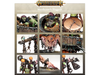 Collectible Miniature Games Games Workshop - Warhammer Age of Sigmar - Orruk Warclans - Marshcrawla Sloggoth - 89-66 - Cardboard Memories Inc.