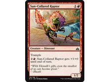 Trading Card Games Magic the Gathering - Sun-Collared Raptor - Common - RIX118 - Cardboard Memories Inc.