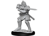 Role Playing Games Wizkids - Dungeons and Dragons - Unpainted Miniature - Nolzurs Marvellous Miniatures - Hobogoblin Male and Female - 90310 - Cardboard Memories Inc.