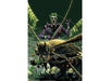 Comic Books DC Comics - Batman 097 - Joker War (Cond. VF-) - 4655 - Cardboard Memories Inc.