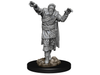 Role Playing Games Wizkids - Dungeons and Dragons - Unpainted Miniature - Nolzurs Marvellous Miniatures - Scarecrow and Stone Cursed - 90241 - Cardboard Memories Inc.