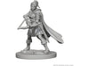 Role Playing Games Wizkids - Dungeons and Dragons - Unpainted Miniature - Nolzurs Marvellous Miniatures - Human Female Ranger - 72636 - Cardboard Memories Inc.