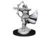 Role Playing Games Wizkids - Dungeons and Dragons - Unpainted Miniature - Nolzurs Marvellous Miniatures - Air Genasi Female - 90305 - Cardboard Memories Inc.