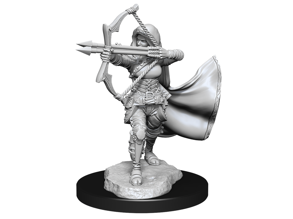 Role Playing Games Wizkids - Dungeons and Dragons - Unpainted Miniature - Nolzurs Marvellous Miniatures - Air Genasi Female - 90305 - Cardboard Memories Inc.