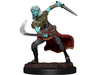 Role Playing Games Wizkids - Dungeons and Dragons - Unpainted Miniature - Nolzurs Marvellous Miniatures - Air Genasi Female - 90305 - Cardboard Memories Inc.