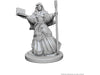 Role Playing Games Wizkids - Dungeons and Dragons - Unpainted Miniature - Nolzurs Marvellous Miniatures - Human Female Wizard - 72619 - Cardboard Memories Inc.